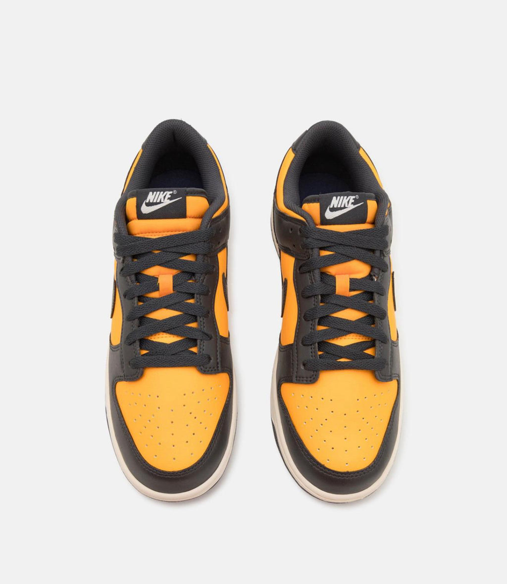 nike-sportswear-dunk-retro-unisex-sneakers-basse-sundialanthracitesail