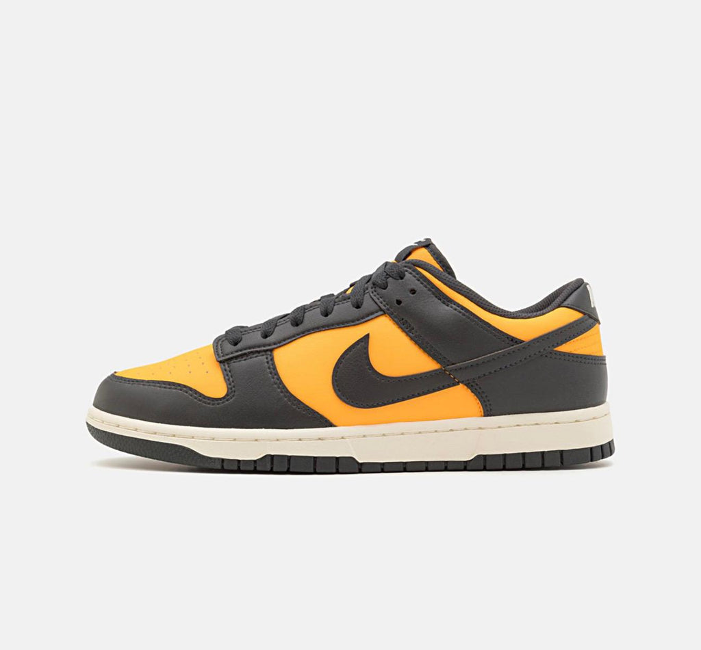 nike-sportswear-dunk-retro-unisex-sneakers-basse-sundialanthracitesail