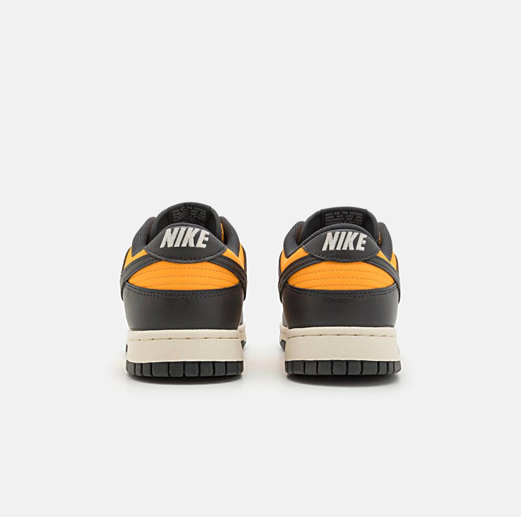 nike-sportswear-dunk-retro-unisex-sneakers-basse-sundialanthracitesail